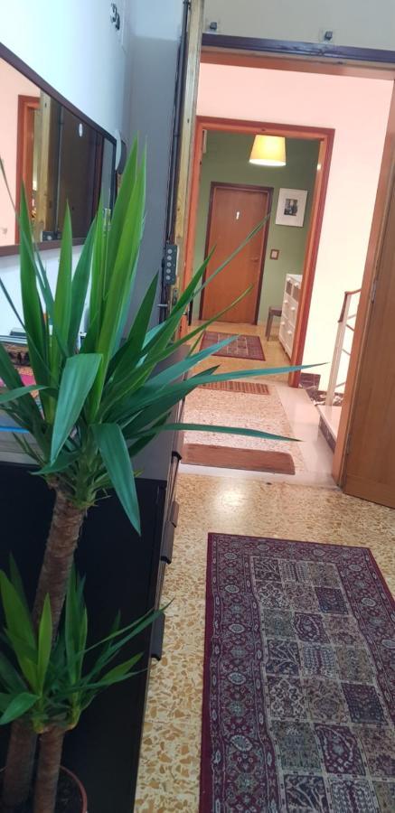 Prime Guest House Pisa Luaran gambar