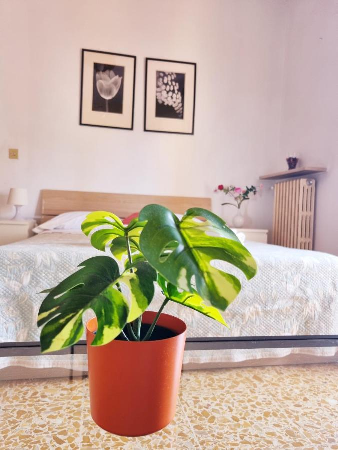 Prime Guest House Pisa Luaran gambar