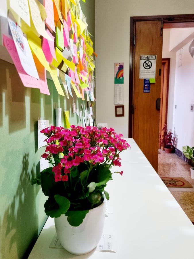 Prime Guest House Pisa Luaran gambar